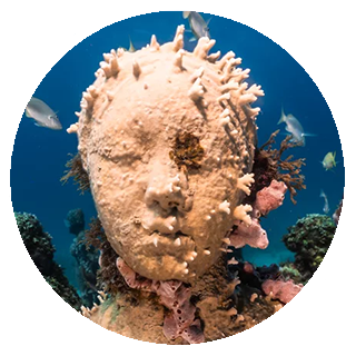 Snorkeling at the underwater museum