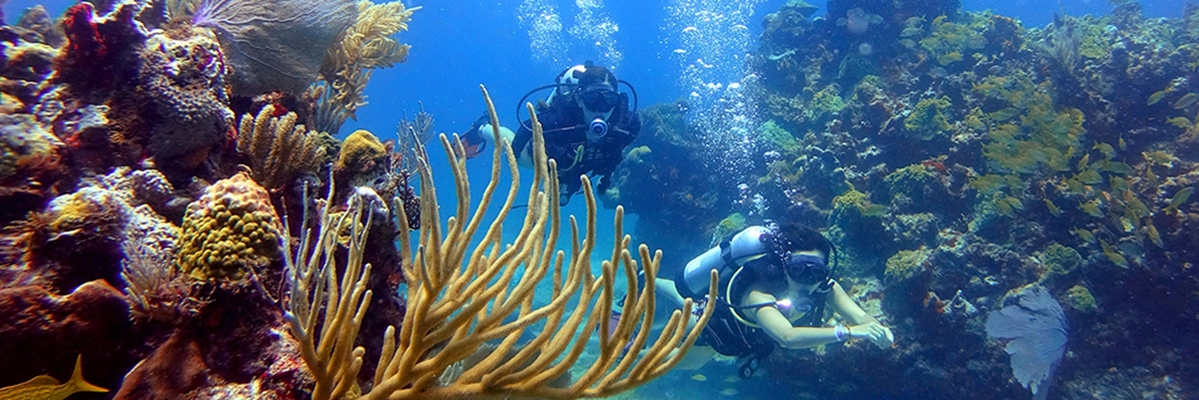 Two young Mexican girls explore Manchones Reef on scuba.