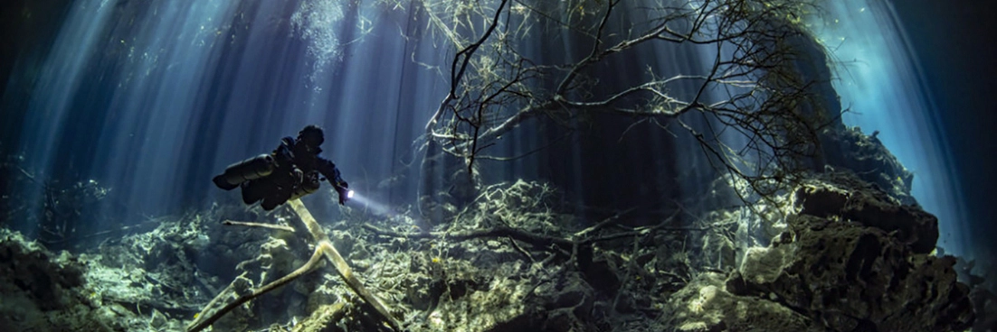 Diver past the Sugar Bowl cenote