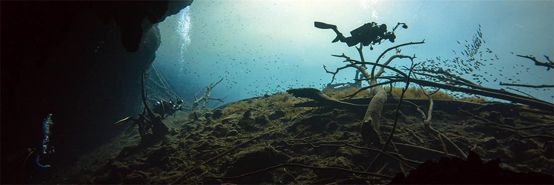 A group of divers in a cavern