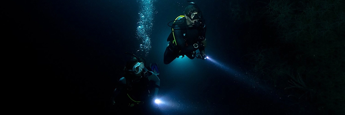 Divers venture into the night