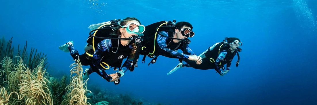 A family who dives together, stay together.