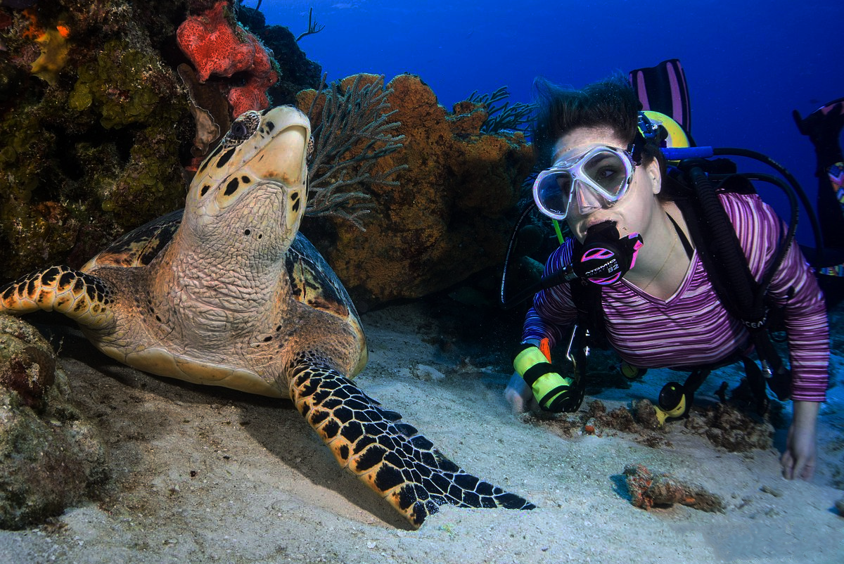 Diver and turtle