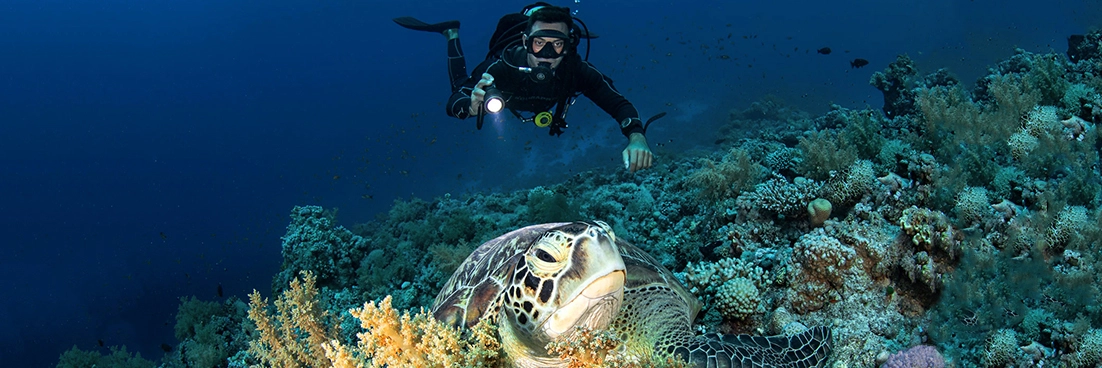 Scuba diver poses with a turtle
