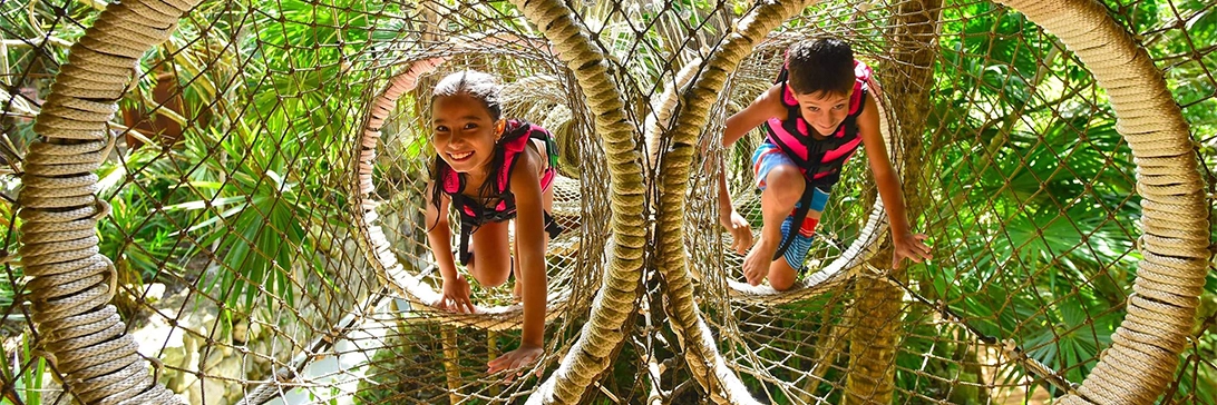 Kids climbing through a jungle gym in an actual jungle