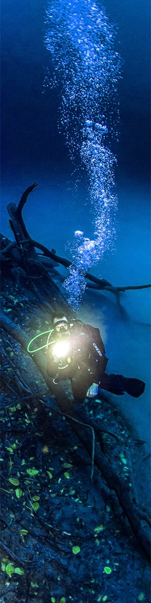 Diver shines a flashlight up from the depths of Cenote Angelita