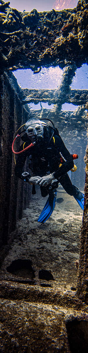 A diver glides through the wreck