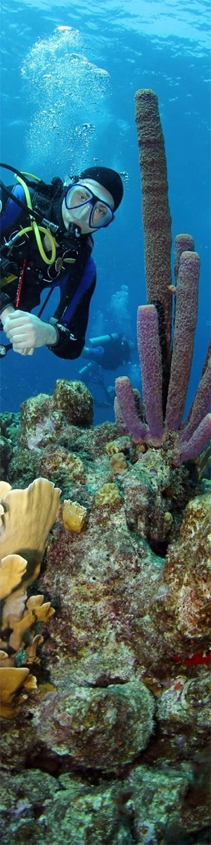Diver poses next to coral