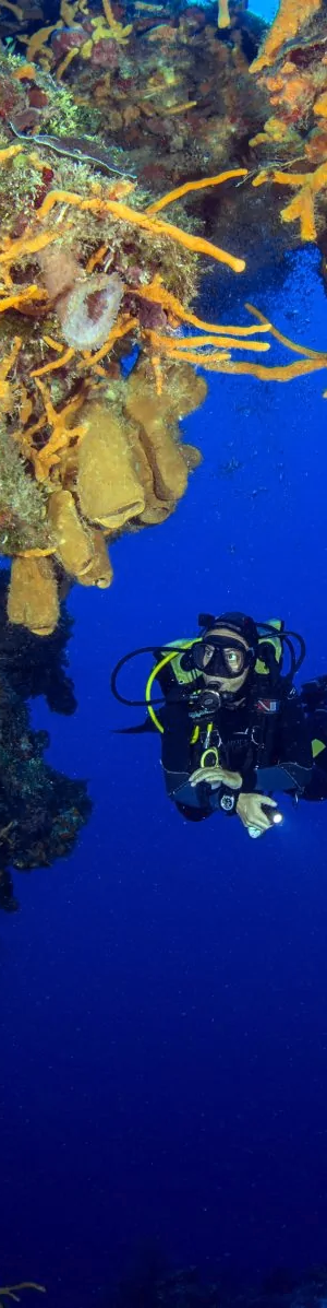 Diver begins a swim-thru