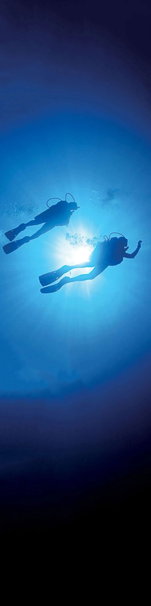 Divers viewed from below
