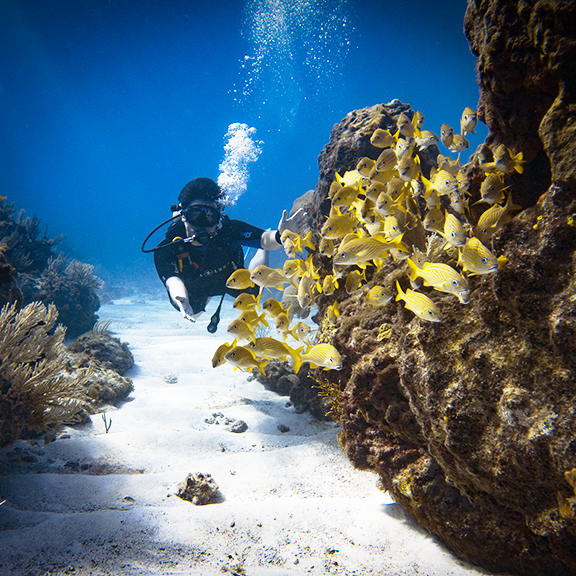 David gets into his underwater fighting stance.