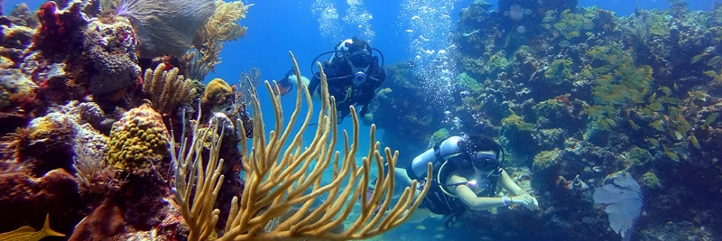 Two young Mexican girls, Lucía and Emma Sofía, explore Manchones Reef on scuba