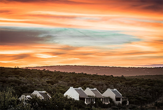 Addo cottages