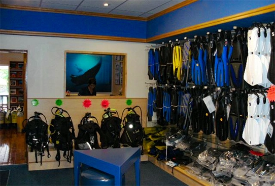 Dive shop fins